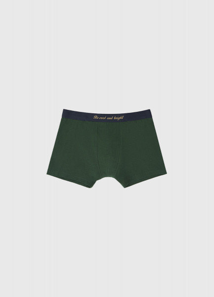 Трикотажные трусы-транки средней посадки, Зеленый
Трикотажные трусы-транки средней посадки, Зеленый