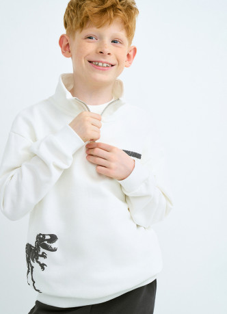 Свитшот с воротником-стойкой на молнии для мальчиков