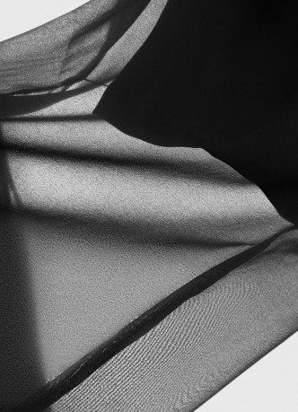 Полупрозрачные брюки из органзы