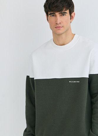 Свитшот колор-блок с надписью