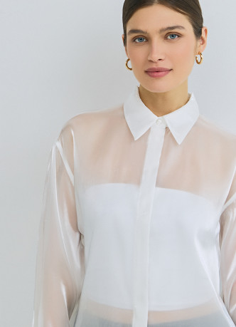 Блузка из органзы