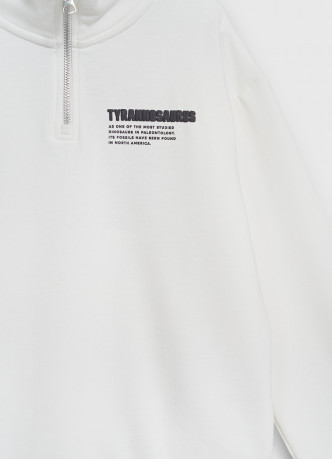 Свитшот с воротником-стойкой на молнии для мальчиков