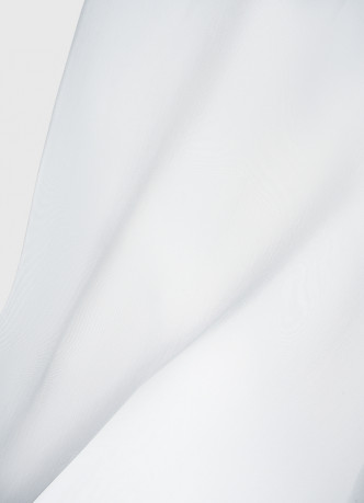 Блузка из органзы