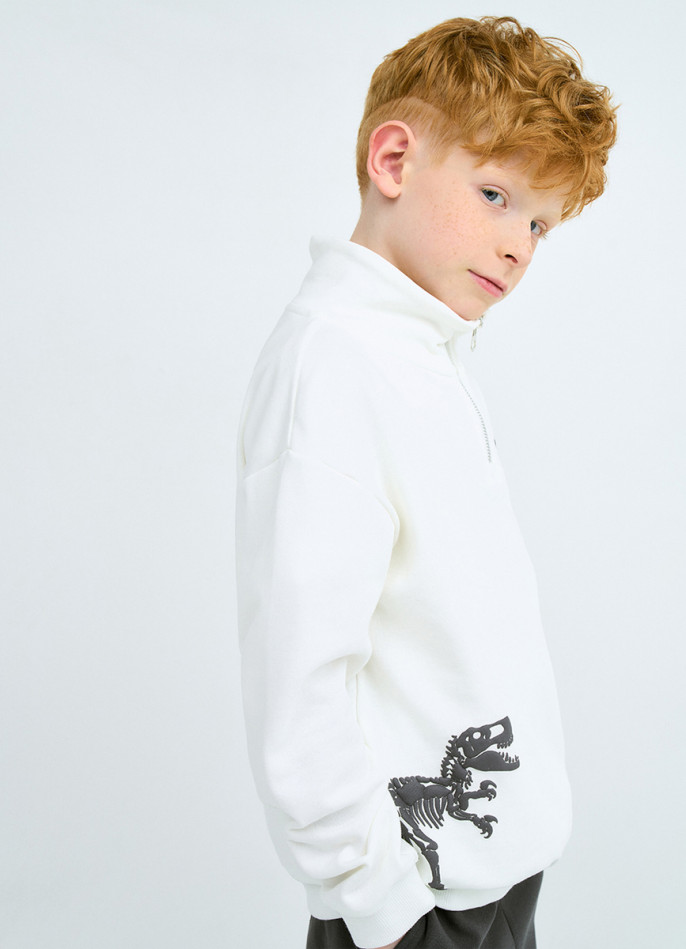 Свитшот с воротником-стойкой на молнии для мальчиков