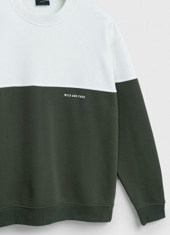 Свитшот колор-блок с надписью