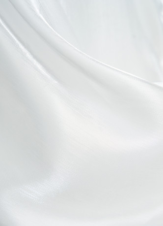 Блузка из органзы