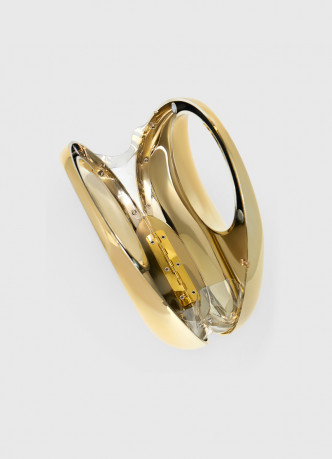 Золотая сумка